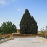 وضعیت سلامت سرو کهن ابرکوه مطلوب است